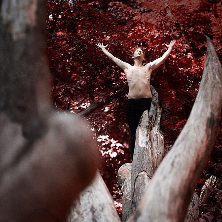no fear of falling...