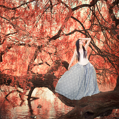 the lost princess..