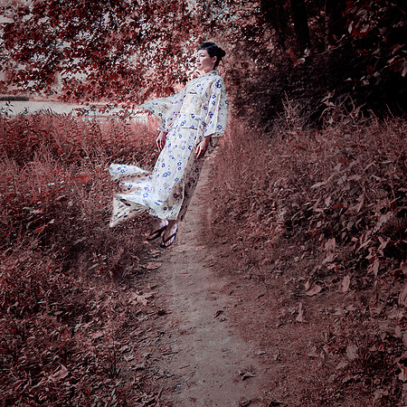 gone with the wind... Japonaiserie series