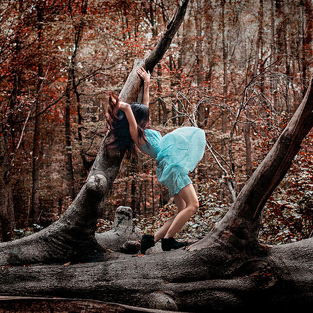 in and out of woods...